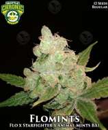 Seattle Chronic Seeds Flomints