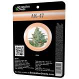 Sensation Seeds AK-47