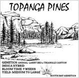 South Bay Genetics Topanga Pines