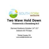South Fork Seed Collective Two Wave Hold Down