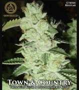 Swamp Boys Seeds Town & Country