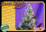 Sweet Seeds Sweet Skunk Auto