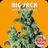 The Moon Seeds Big Jack