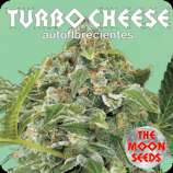 The Moon Seeds Turbo Cheese