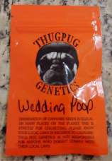 ThugPug Genetics Wedding Poop