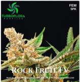 Turbo Flora Genetics Rock Fruit FV