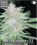 Weed Should Taste Good Mesa Cookie