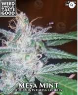 Weed Should Taste Good Mesa Mint