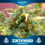 Zamnesia Amnesia Haze Automatic