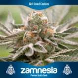 Zamnesia Girl Scout Cookies