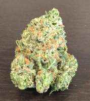 Bild von Hondo13 (Platinum Tiger Cookies)