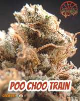 Amish Warrior Seeds Poo Choo Train - ein Foto von 420meowmeowmeow