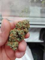 Bild von EckMcjagger (Pineapple Chunk)