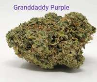 Bild von TheHappyChameleon (Granddaddy Purple)