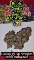 Bild von 420meowmeowmeow (Lazy Lightning)