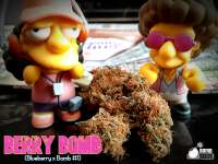 Bomb Seeds Berry Bomb - ein Foto von Justin108