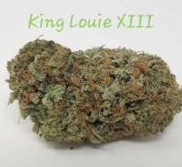 Bild von TheHappyChameleon (King Louis XIII)