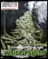 Bild von Londoncitygenetics (Psychosis)