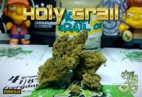 DNA Genetics Seeds Holy Grail Kush - ein Foto von Justin108