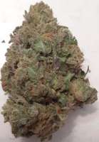 Dungeons Vault Genetics Grandpa's Breath - ein Foto von GreenCranium