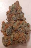 Fresh Coast Seed Company Meat The Cookies - ein Foto von GreenCranium