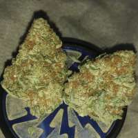 Bild von GanjalfTheGreen (Chemdawg)