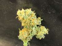 Bild von LEDgrowman (Green Crack)