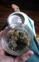 Jaws Gear Green Demon OG - ein Foto von 420meowmeowmeow