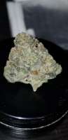 Jordan of the Islands Blue Chemo - ein Foto von Cannaseur