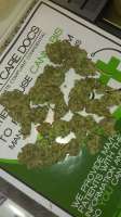 Bild von WildBmx82 (Misty Kush)