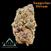 Plantamaster Seeds Tangerine Dream - ein Foto von ElevatedLoungeDC