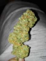 Pyramid Seeds Fresh Candy - ein Foto von EckMcjagger