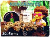 Bild von Justin108 [Kosher Kush]