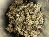 Spliff Seeds Moon Walker Kush - ein Foto von real6ta