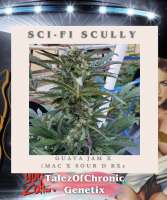 Talez Of Chronic Sci-Fi Scully - ein Foto von Talezofchronic1