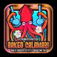 The Bakery Genetics Baked Calamari - ein Foto von TheBakeryGenetics