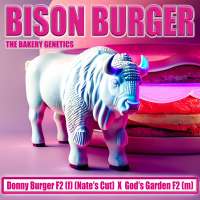 The Bakery Genetics Bison Burger - ein Foto von TheBakeryGenetics