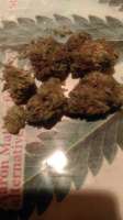 Bild von WildBmx82 (Girl Scout Cookies)