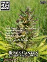Weed Should Taste Good Black Canyon - ein Foto von WeedShouldTasteGood