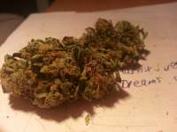 Bild von KushIsGood [Afghan Kush]