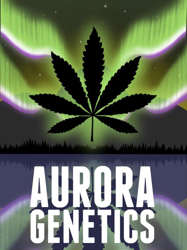 Logo Aurora Genetics