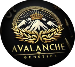 Logo Avalanche Genetics
