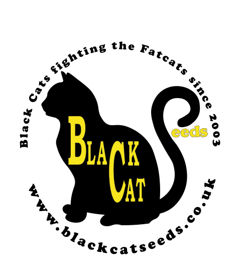 Logo Black Cat Seeds