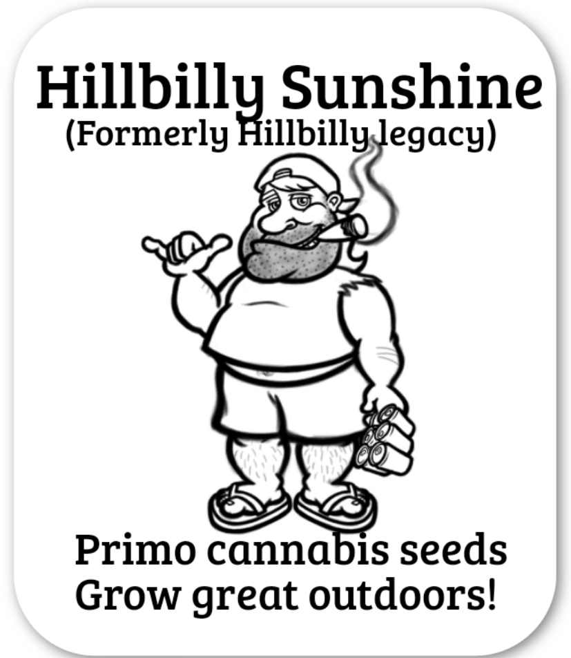Logo Hillbilly Sunshine