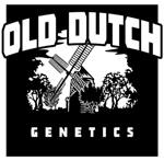 Logo Old Dutch Genetics