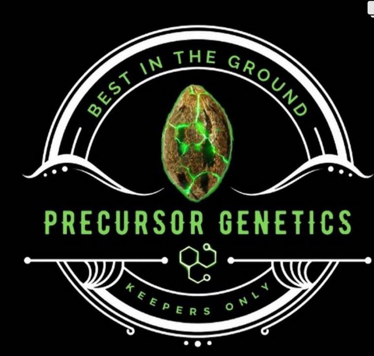 Logo Precursor Genetics