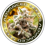 Logo Advanced Seeds