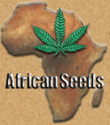 Logo African Seeds