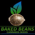 Logo Baked Beans Cannabis Seeds