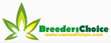 Logo Breeder Choice Organisation
